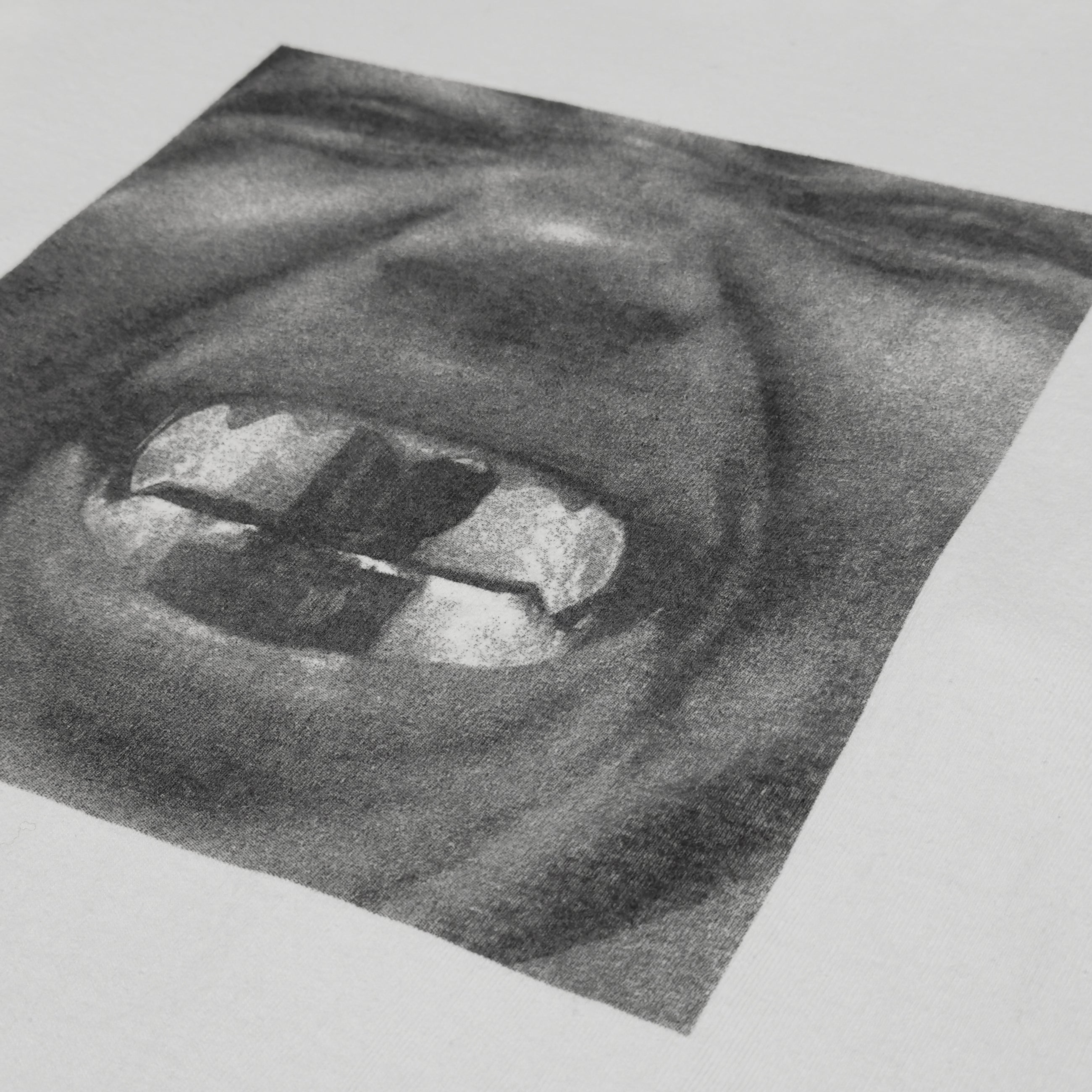 Bully 2025 Album Artwork Long Sleeve In White