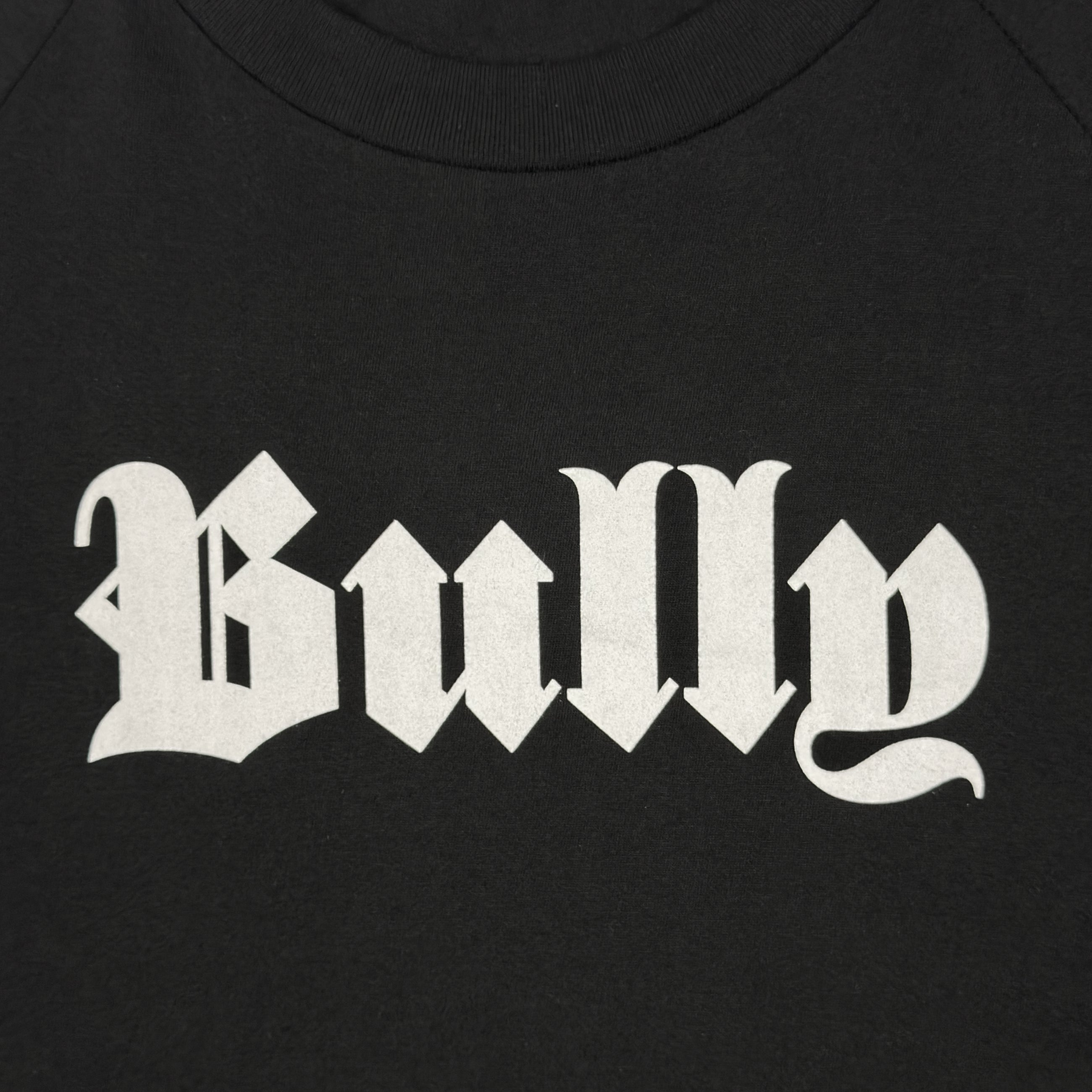 Bully 2025 Logo Tee In Black