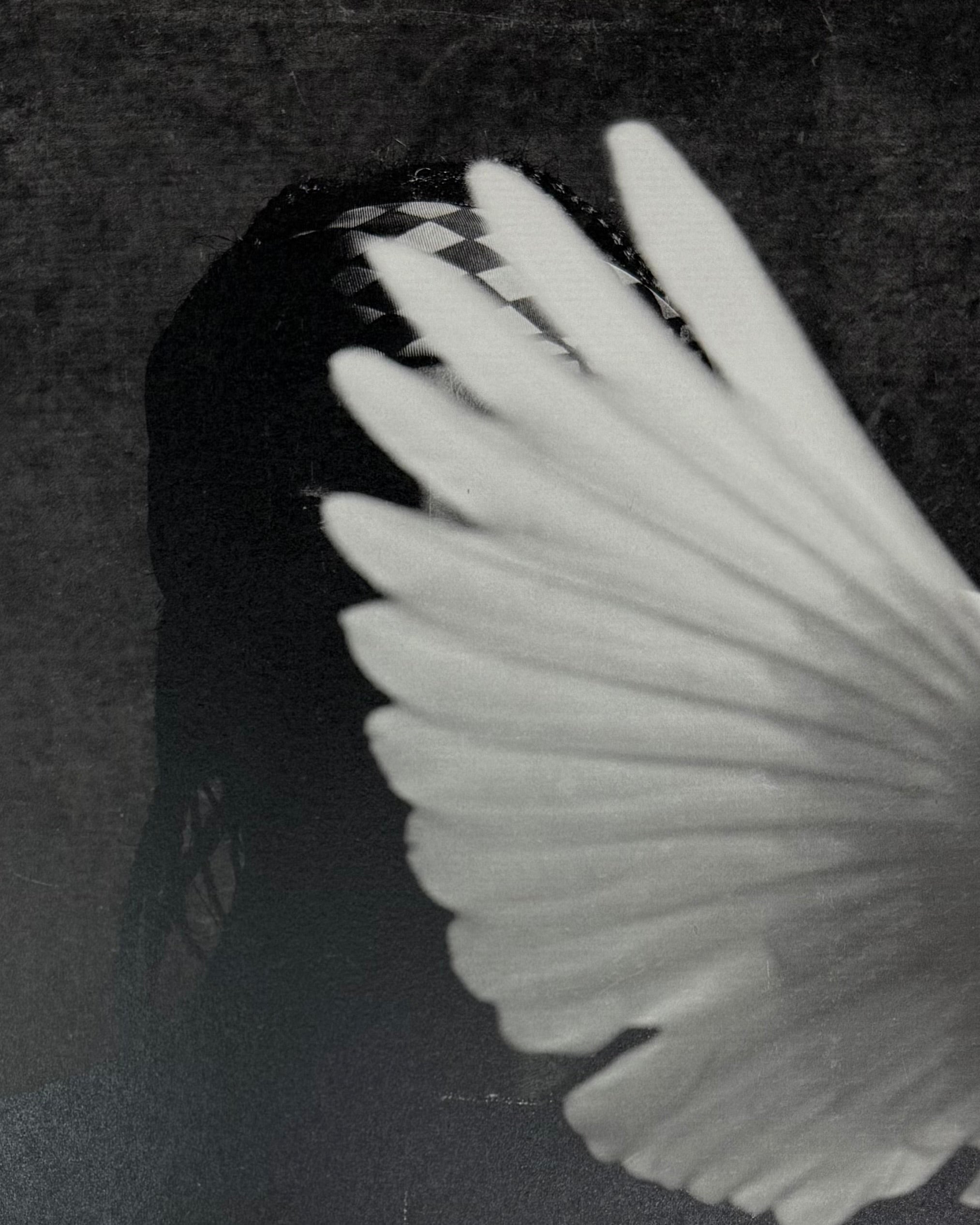 Yeezy 2015 'Darkest Before Dawn' Zine By Fabien Montique