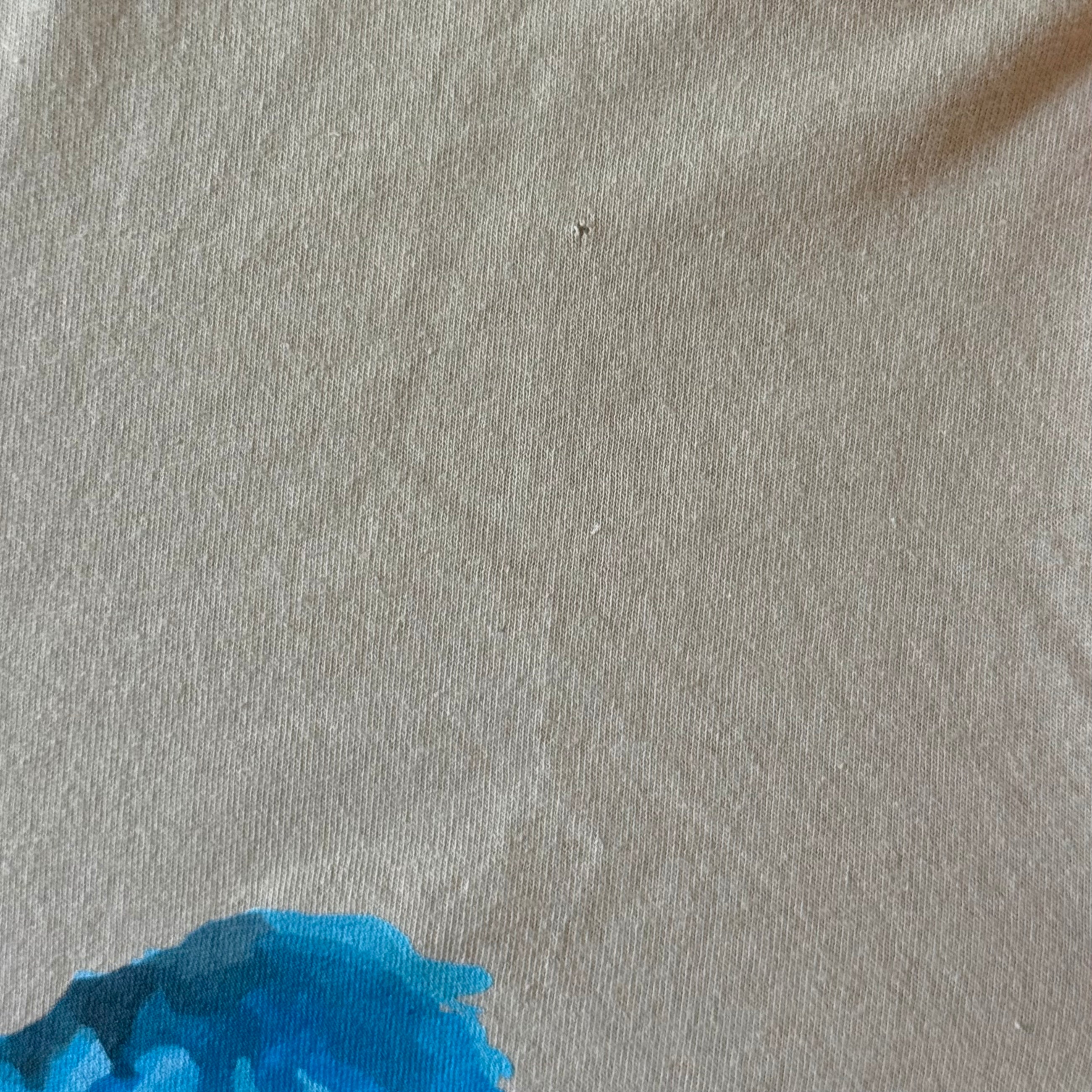Ye 2018 Listening Party Long Sleeve in Sand