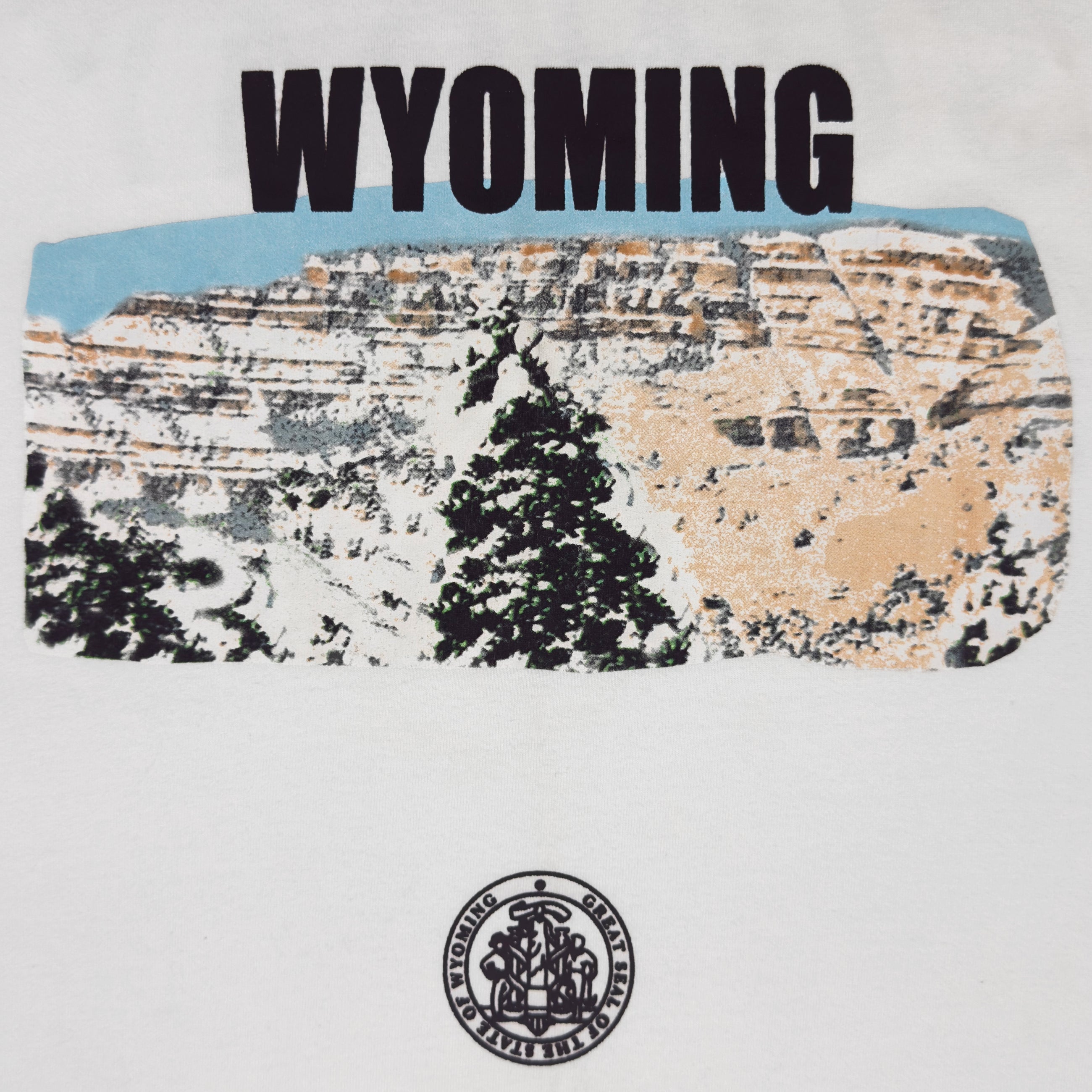 Jesus Is King 2019 Unreleased Sunday Service Wyoming Choir Tee