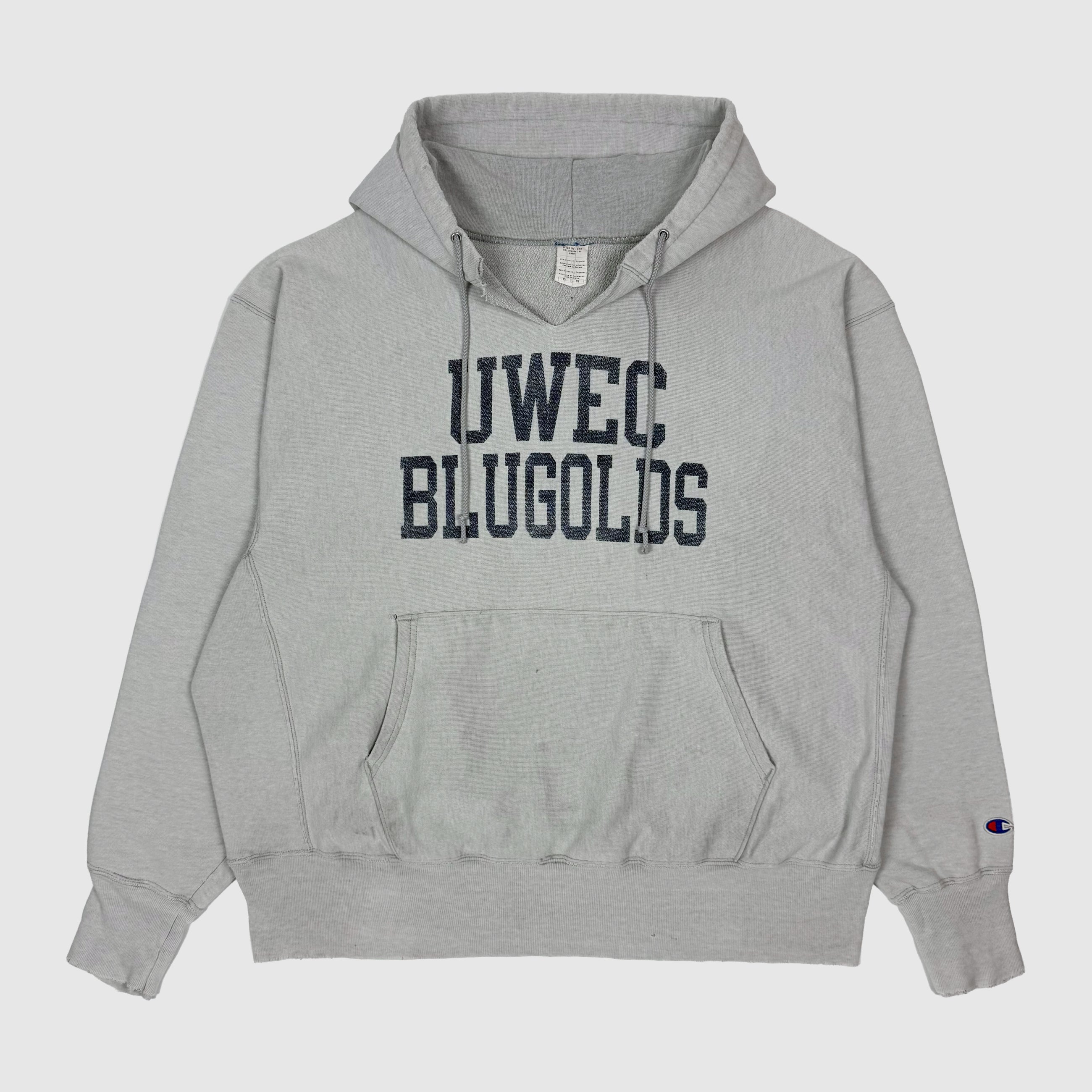 Vintage Champions Reverse Weave Hoodie In Heather Grey