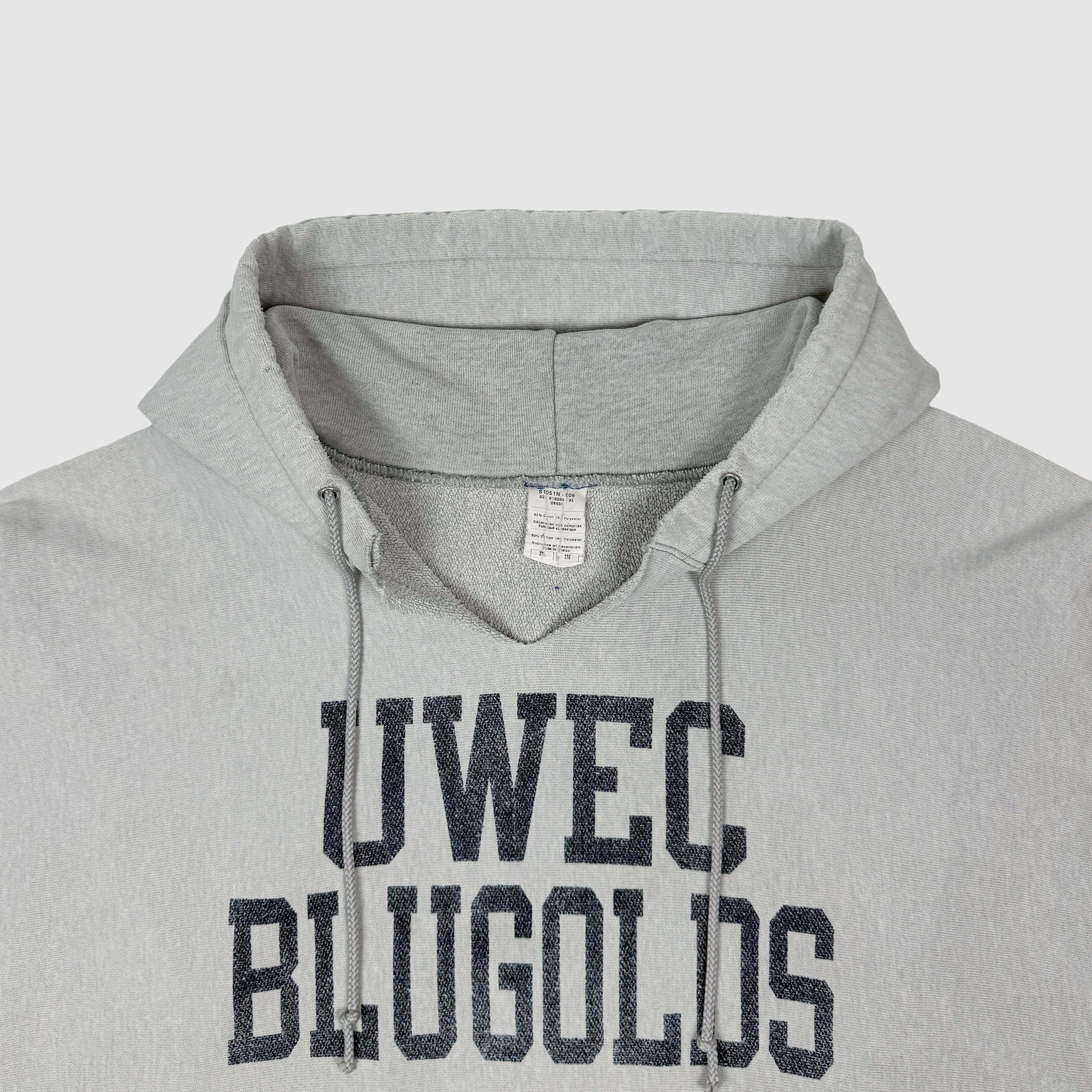 Vintage Champions Reverse Weave Hoodie In Heather Grey