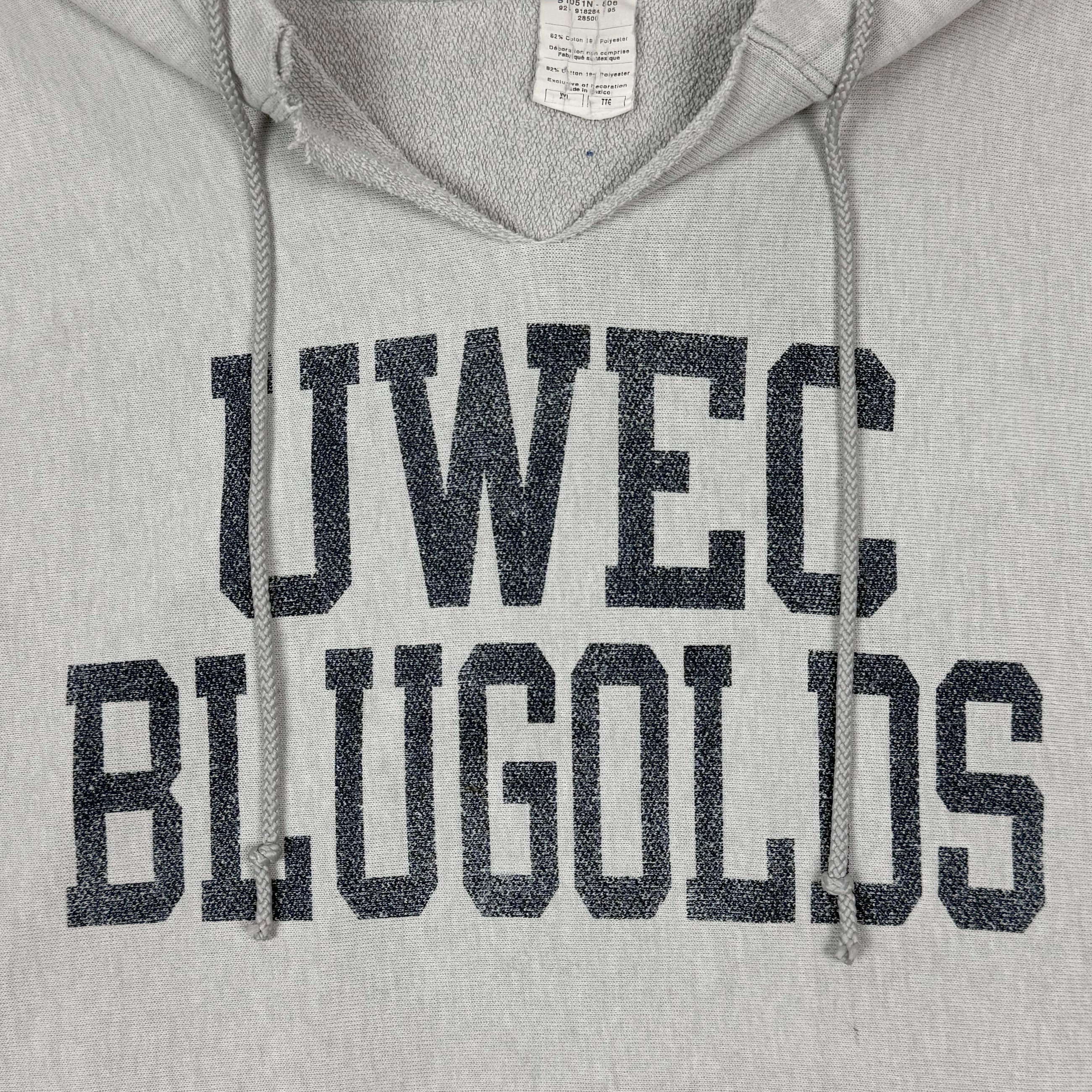 Vintage Champions Reverse Weave Hoodie In Heather Grey