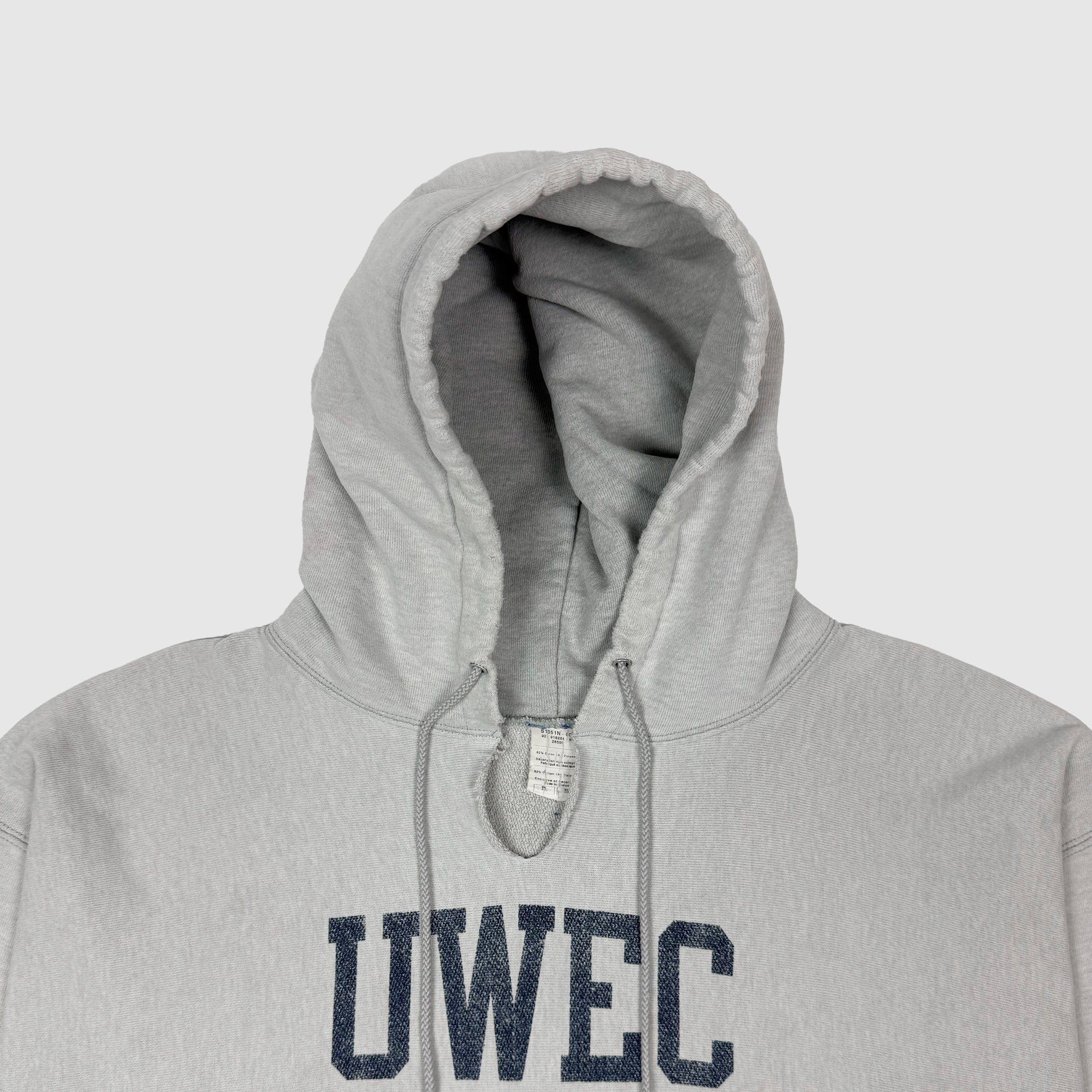 Vintage Champions Reverse Weave Hoodie In Heather Grey