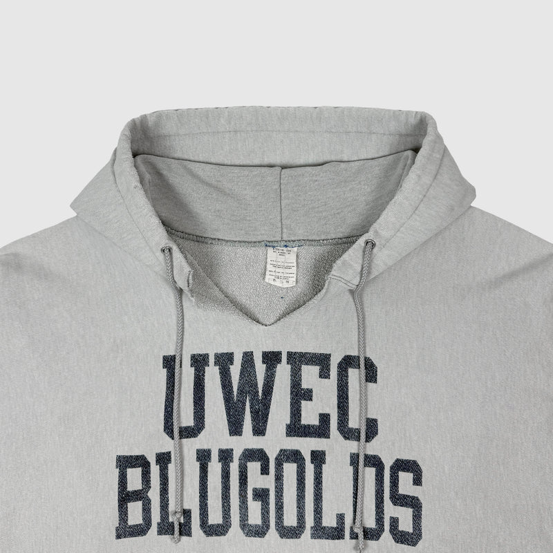 Vintage Champions Reverse Weave Hoodie In Heather Grey